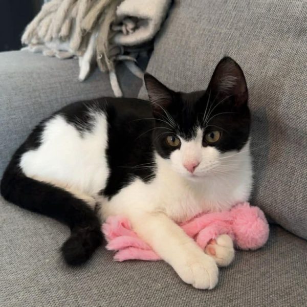 FB_IMG_1777409575858