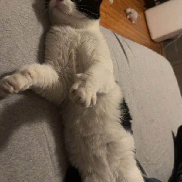 FB_IMG_1777409582084