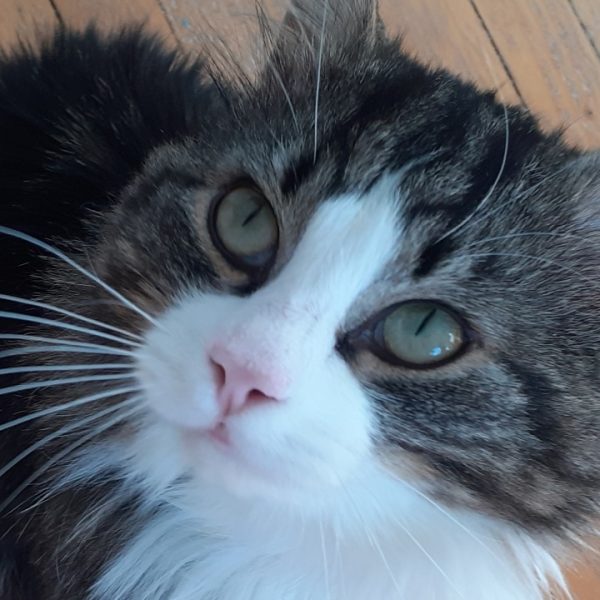 Resized_20260421_174930 (2)